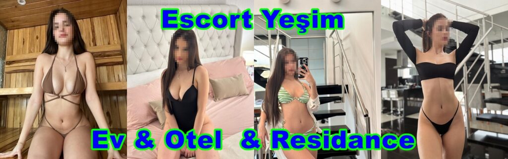 ataşehir escort